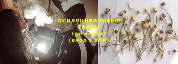 кокаин Богданович