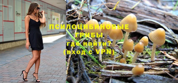 кокаин Богданович