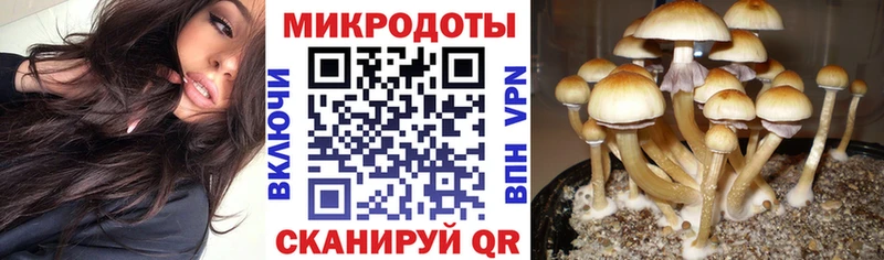 Галлюциногенные грибы прущие грибы  наркотики  Верещагино 